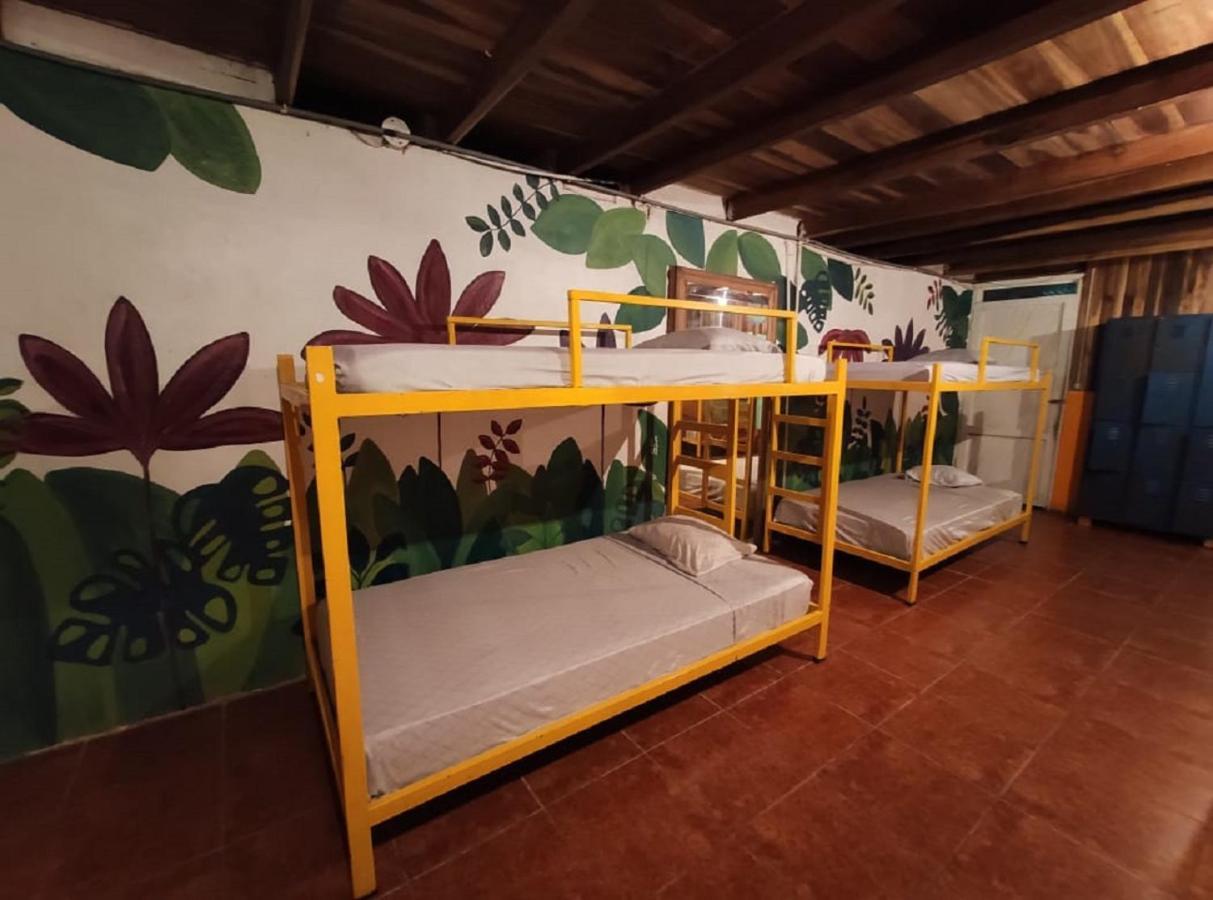 Madre Selva Hostel Puerto Viejo de Talamanca Eksteriør bilde