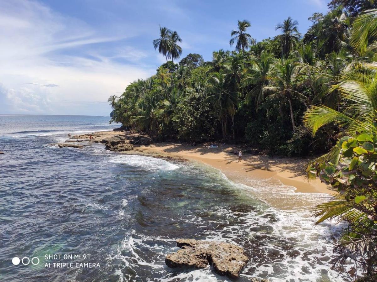 Madre Selva Hostel Puerto Viejo de Talamanca Eksteriør bilde