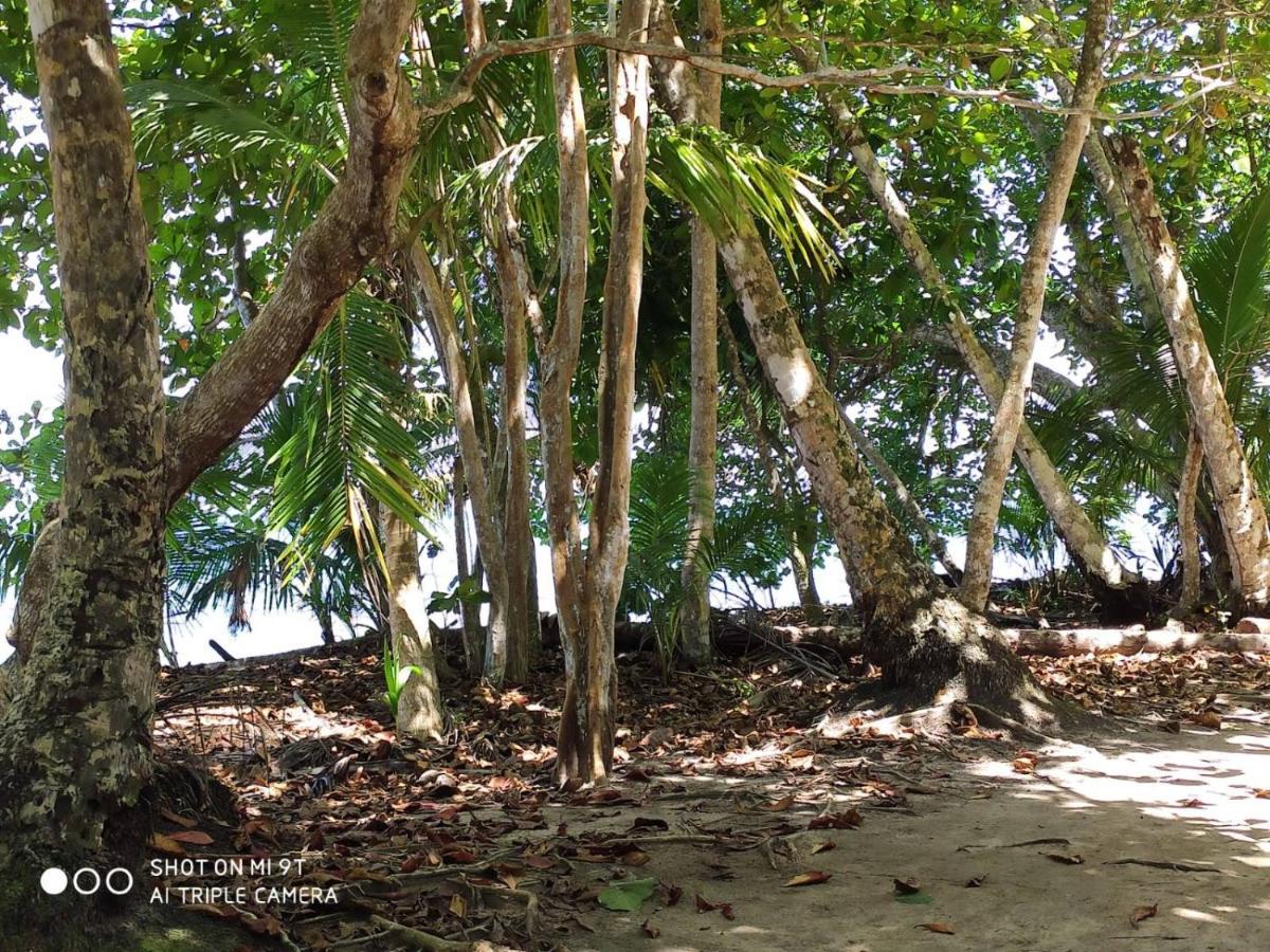 Madre Selva Hostel Puerto Viejo de Talamanca Eksteriør bilde