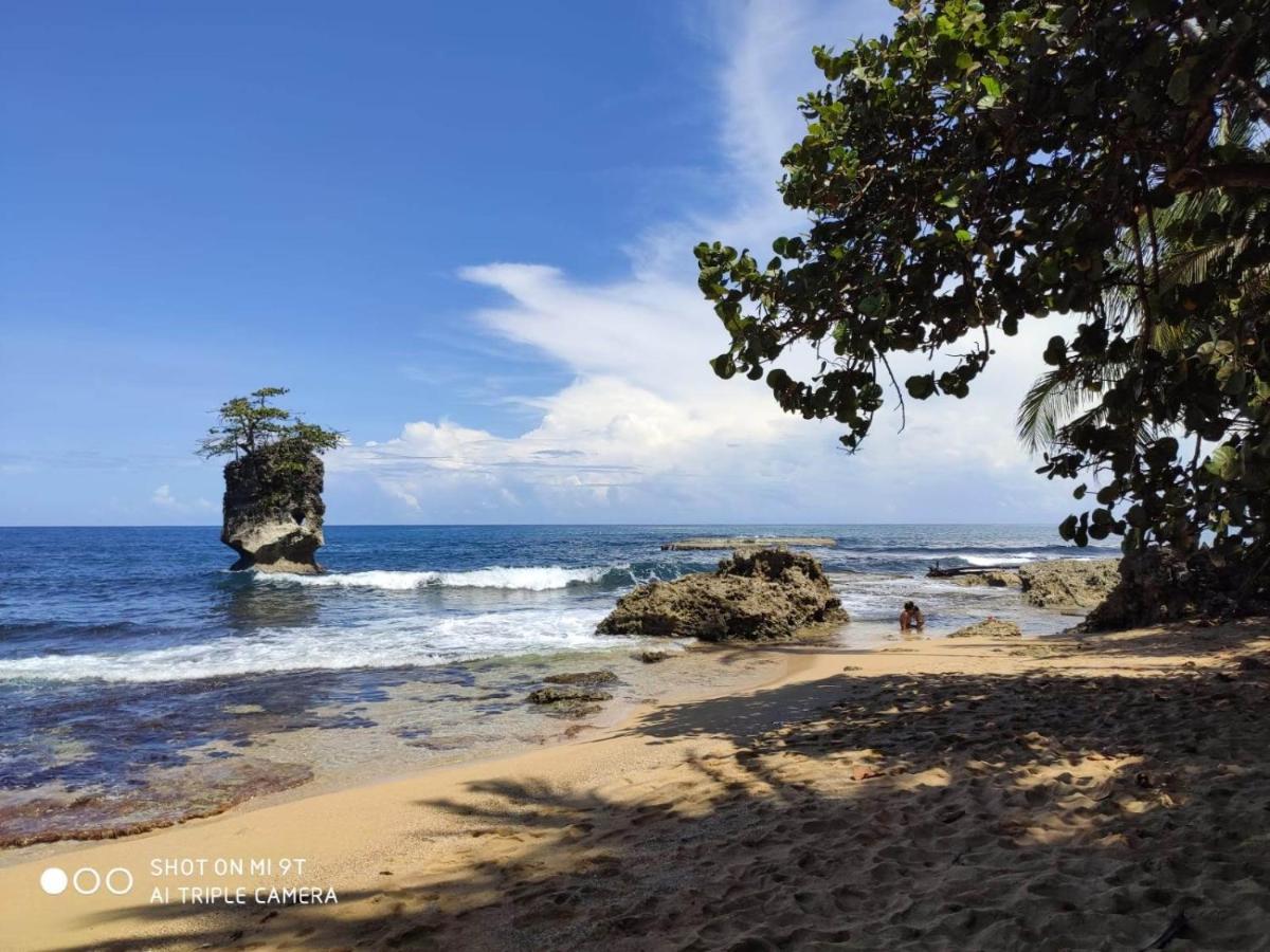 Madre Selva Hostel Puerto Viejo de Talamanca Eksteriør bilde