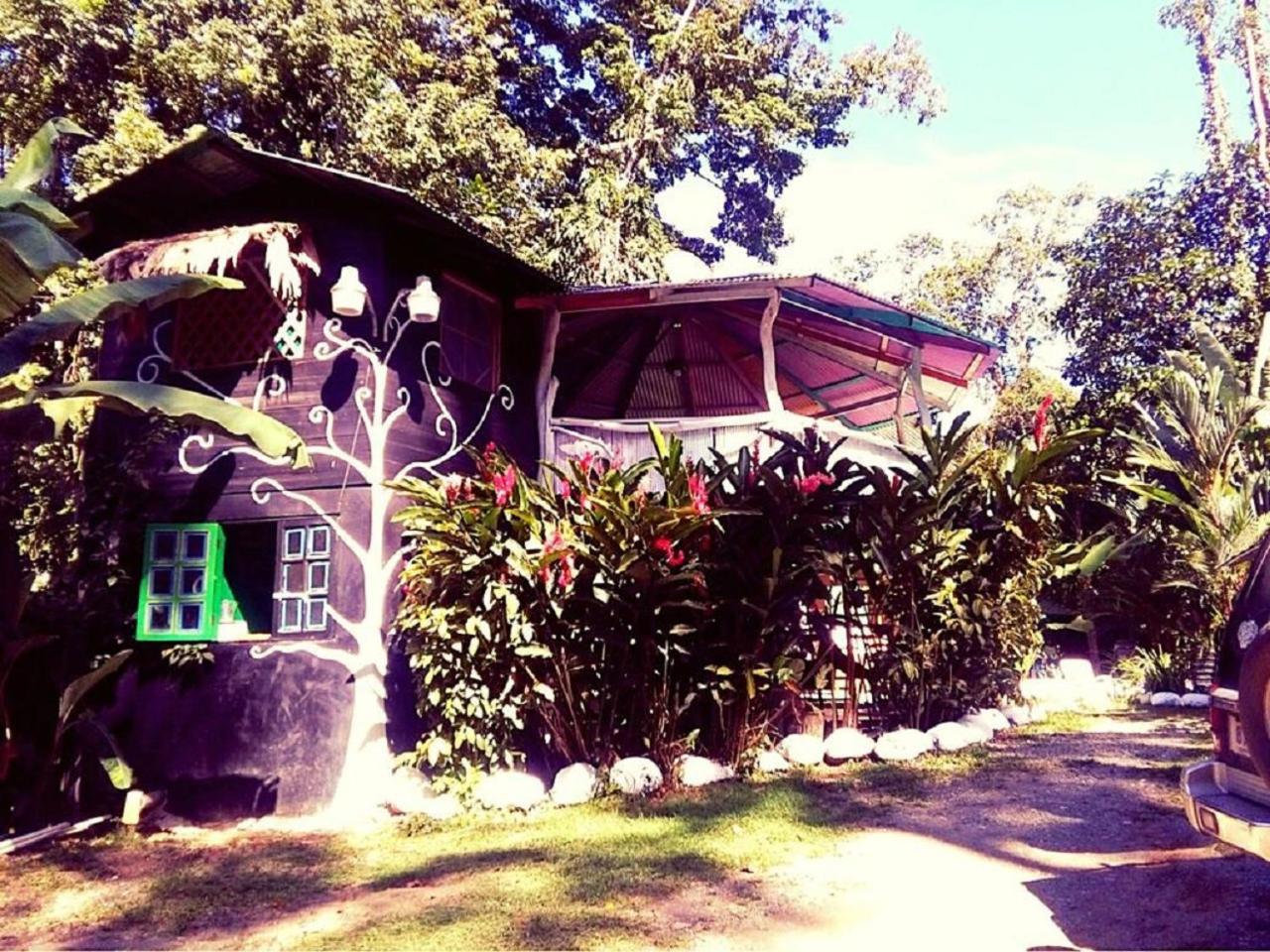 Madre Selva Hostel Puerto Viejo de Talamanca Eksteriør bilde