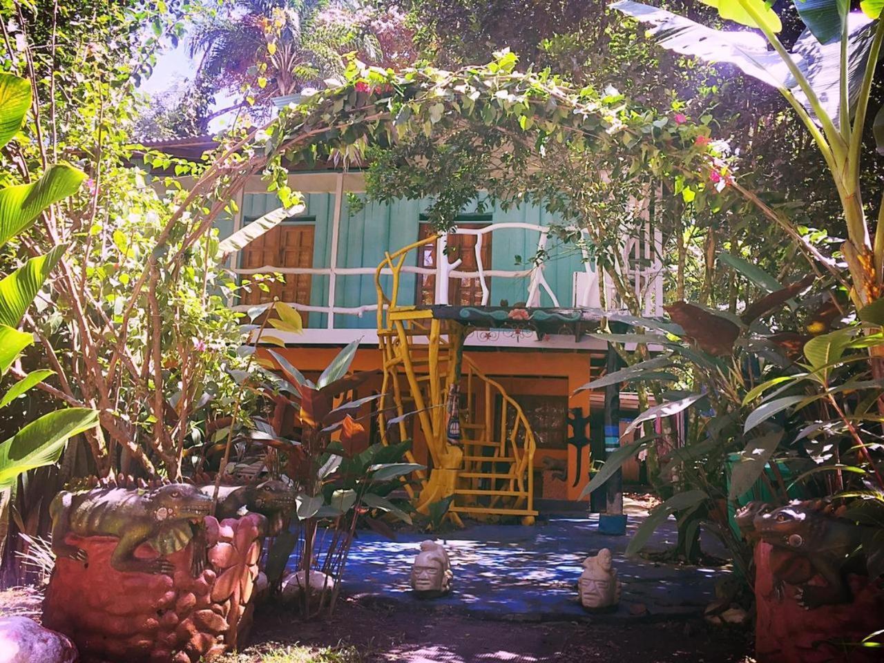 Madre Selva Hostel Puerto Viejo de Talamanca Eksteriør bilde