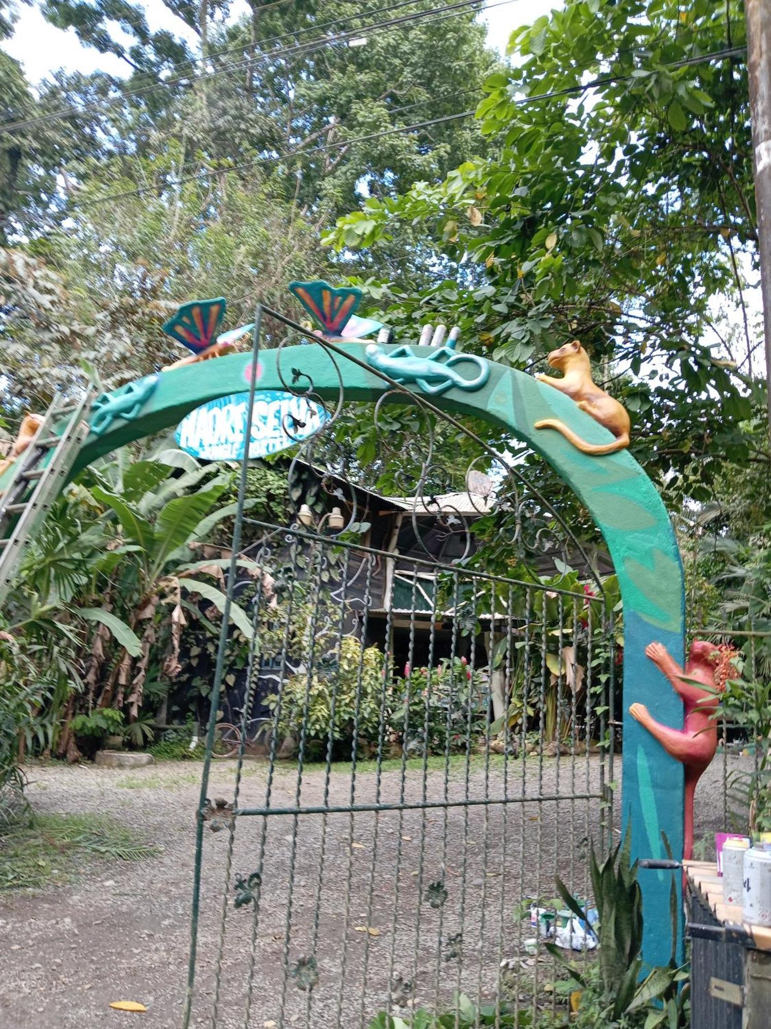 Madre Selva Hostel Puerto Viejo de Talamanca Eksteriør bilde