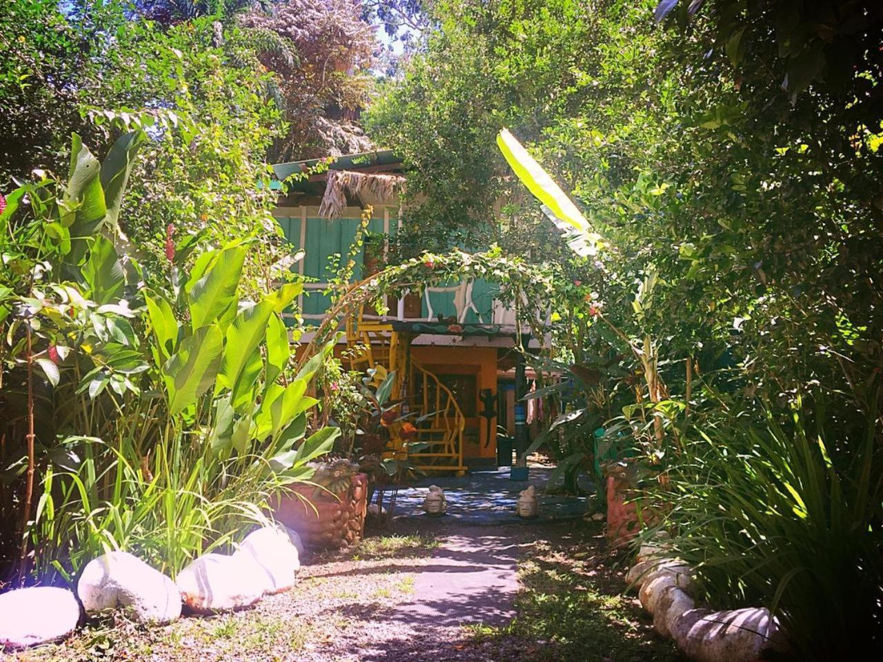 Madre Selva Hostel Puerto Viejo de Talamanca Eksteriør bilde