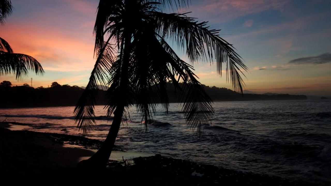 Madre Selva Hostel Puerto Viejo de Talamanca Eksteriør bilde