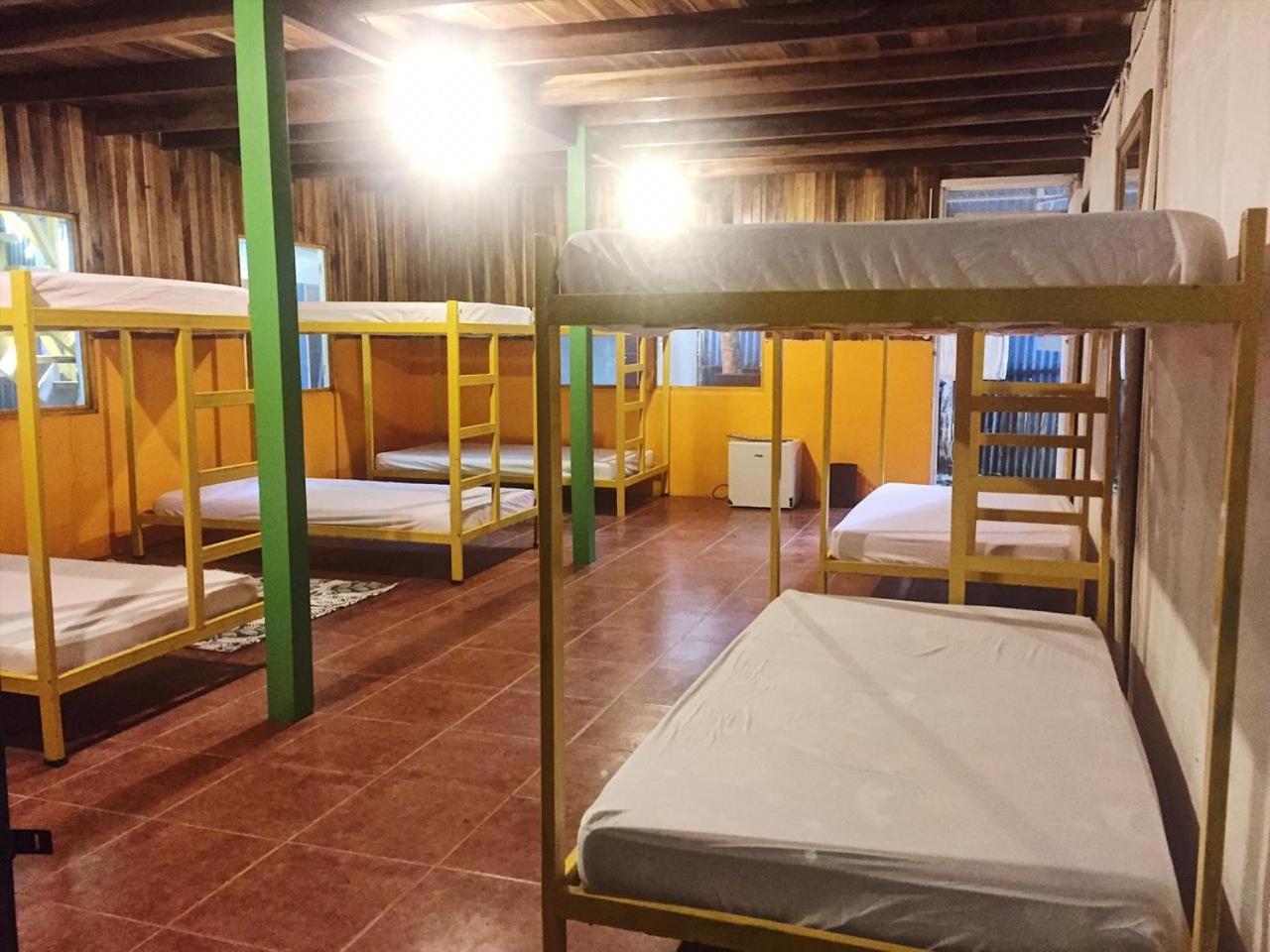 Madre Selva Hostel Puerto Viejo de Talamanca Eksteriør bilde