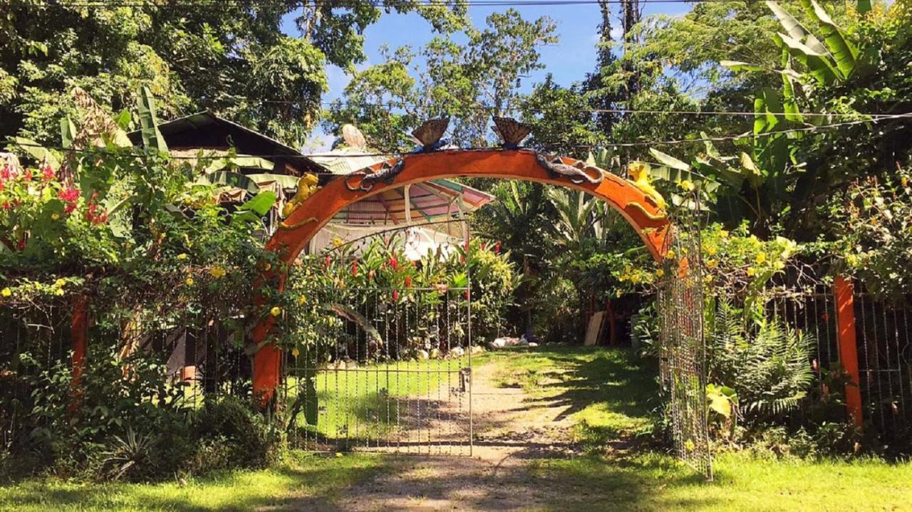 Madre Selva Hostel Puerto Viejo de Talamanca Eksteriør bilde