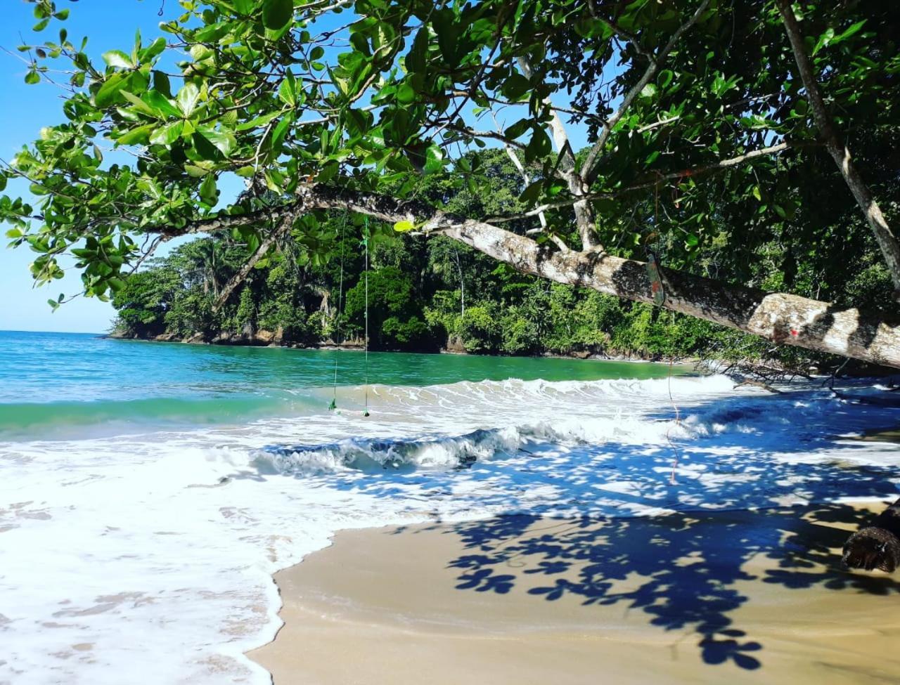 Madre Selva Hostel Puerto Viejo de Talamanca Eksteriør bilde