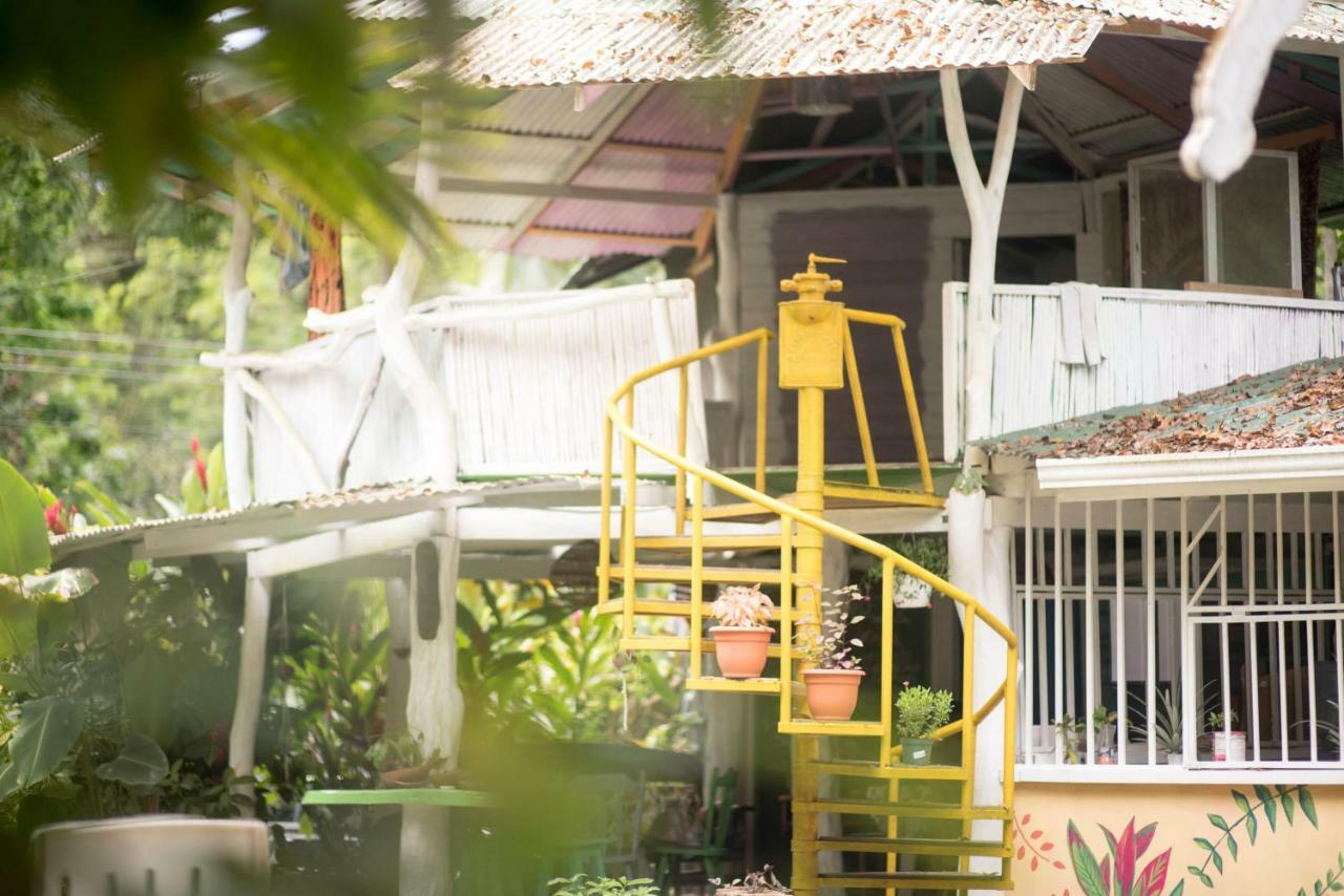 Madre Selva Hostel Puerto Viejo de Talamanca Eksteriør bilde