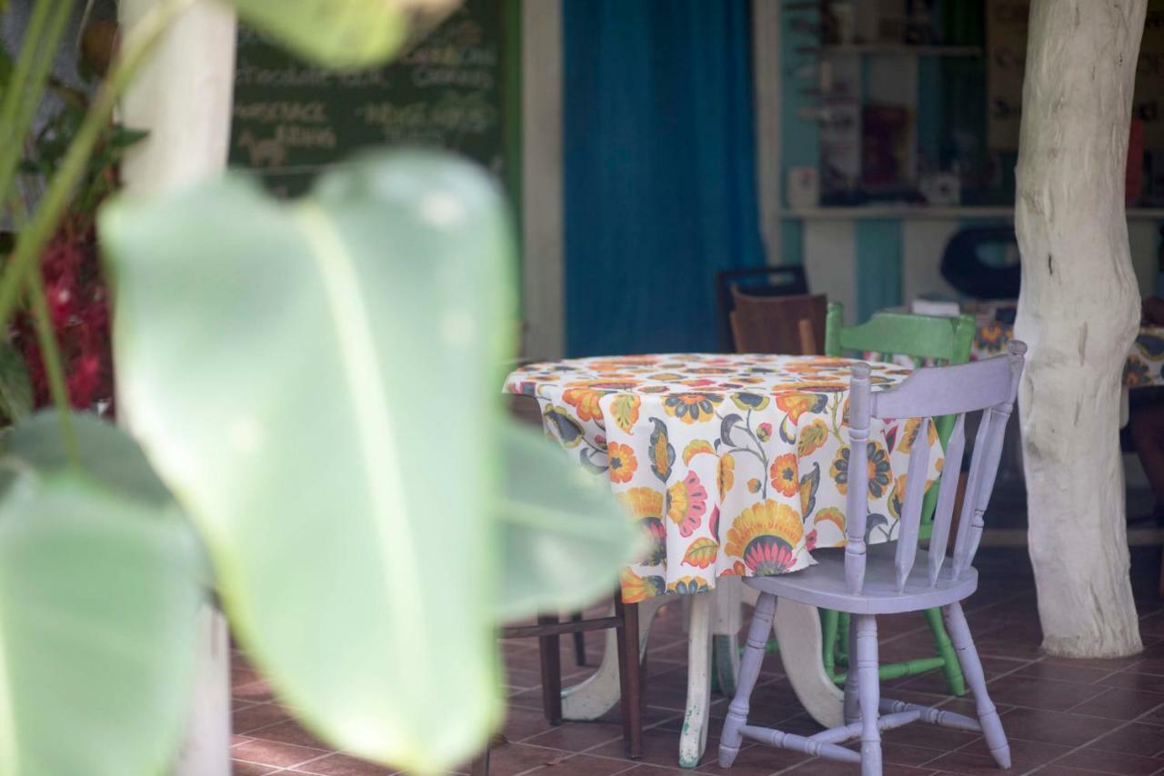Madre Selva Hostel Puerto Viejo de Talamanca Eksteriør bilde