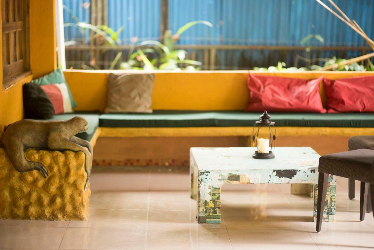 Madre Selva Hostel Puerto Viejo de Talamanca Eksteriør bilde