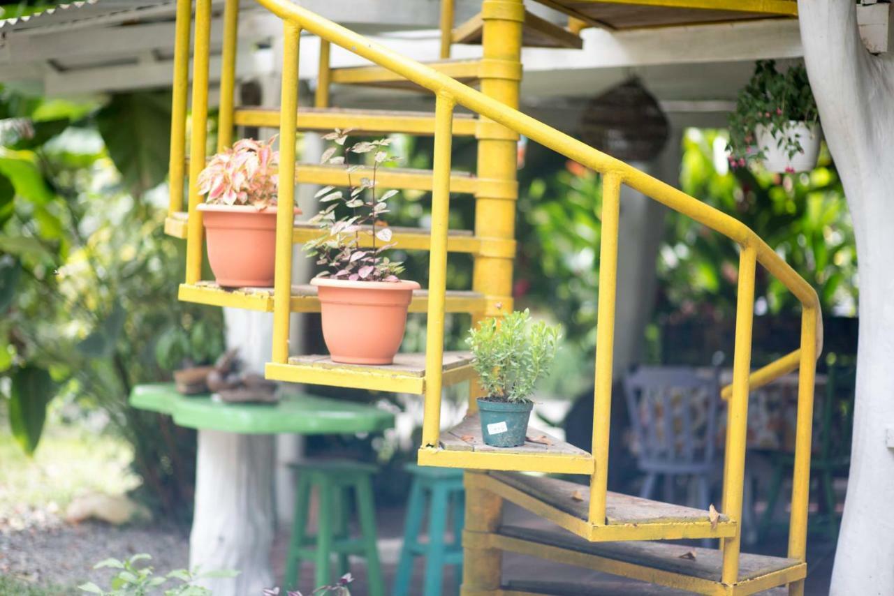 Madre Selva Hostel Puerto Viejo de Talamanca Eksteriør bilde